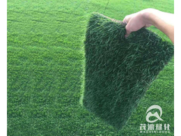 惠州草坪批发在哪里？