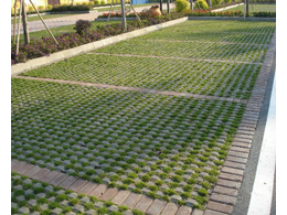 植草砖用什么草坪好？植草砖草坪怎么种植？