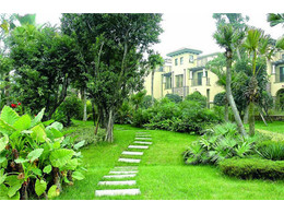 惠州足球场草坪标准