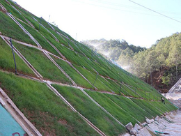 边坡绿化工程技术