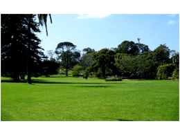 景观草坪这么多样，你知道多少呢？