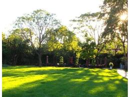 马尼拉草坪:什么样的草坪能够不修剪？