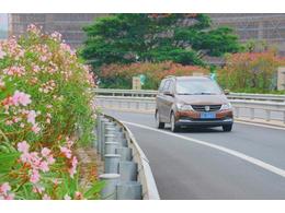 兰引3号草皮:广州那些道路“颜值”太高了