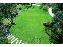 草坪景色及绿化的变化是什么？:广东绿化草坪基地