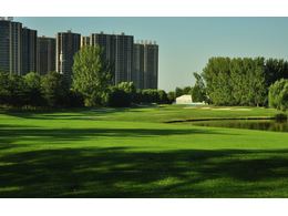 深圳绿化草坪:边坡绿化草坪种子用哪种好？