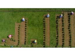 绿化草皮种植基地-打赢脱贫攻坚战-龙华区美仁坡村特色产业助力农民过上好日子