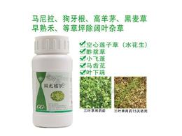 马尼拉草的杂草防除如何选择合适的除草剂？ 