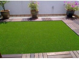 早熟禾是什么？早熟禾的特点简介