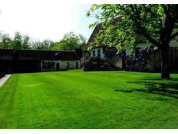 土地绿化用什么草坪？