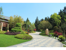 草坪的修剪养护的注意事项