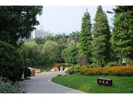 草坪与地被植物有哪些区别