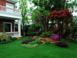  庭院绿化草坪用什么草坪比较好？