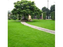 茂沁绿化案例分享 | 景观工程估算及优化案例