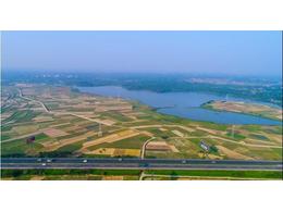 大叶油草皮:惠州市种植6000亩大叶油草等 供给广东省绿化草皮更新需求