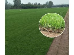 『收藏』十字单体植物设计标准化手册(全)