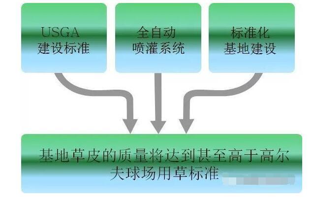 惠州茂沁绿化草坪基地