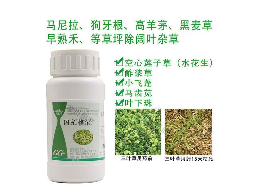 马尼拉草的杂草防除如何选择合适的除草剂？ 