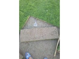 广东马尼拉草皮批发?广东惠州大叶油草多少钱一平米？