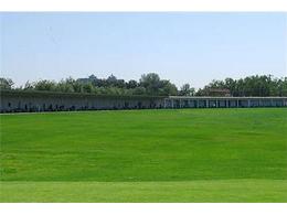 广东马尼拉草皮生产基地，河源草坪批发市场