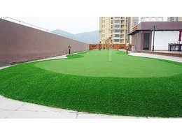 高尔夫球场草坪-高尔夫球场草坪供应批发