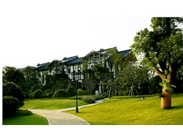 关于边坡绿化草坪的种植详解