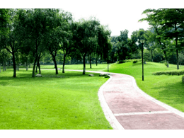 惠州茂沁草坪绿化