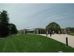 用于公园绿化的草坪品种有几个？