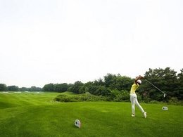 茂沁绿化草坪多少钱一平方？