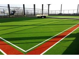 惠州茂沁绿化草坪