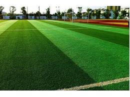 [绿化草坪]绿化草坪