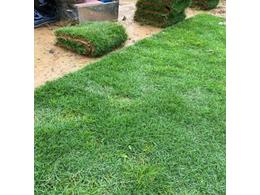 园林绿化草坪种植规范