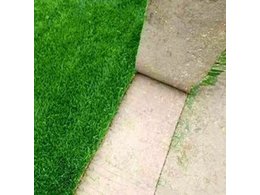 大叶油草卷厂家