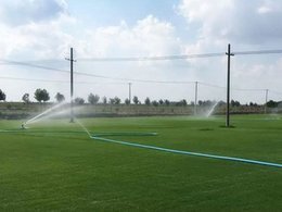 绿化真草坪价格