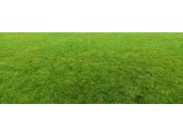 高尔夫人造草坪你不得不知道的几个知识
