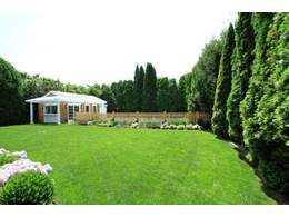 混合运动草坪是什么？