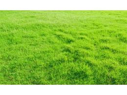 人造草坪篮球场