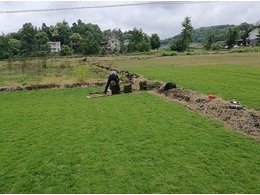 [绿化草卷]岳阳兰引三号草卷