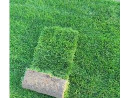 绿化草坪标准足球场定制