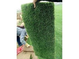 [绿化草卷]草卷供应商