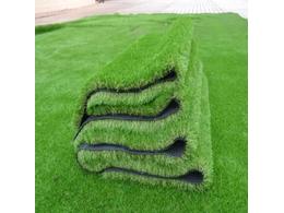 [蓝球场草坪]球场草皮你注意过吗？