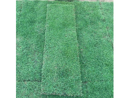 [蓝球场草坪]学校操场人造草坪