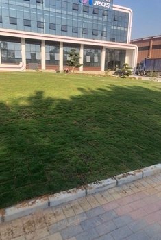 茂沁绿化草业种植基地航拍