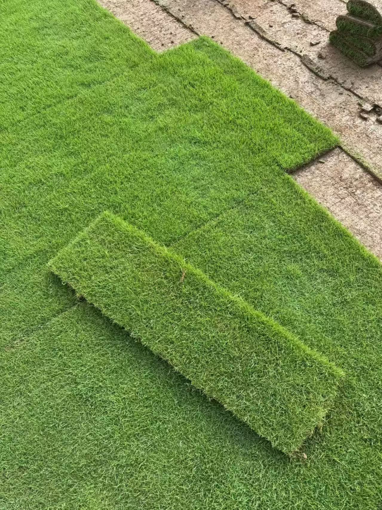 1783062854309449