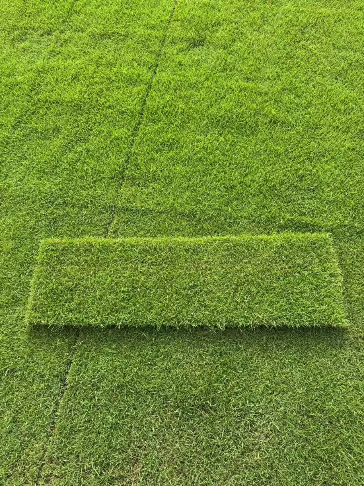 1783063158998303