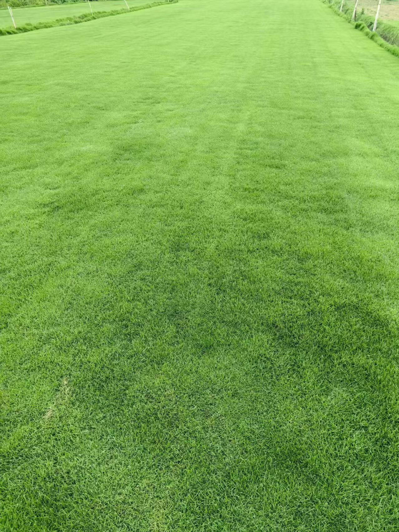 1783063351863813